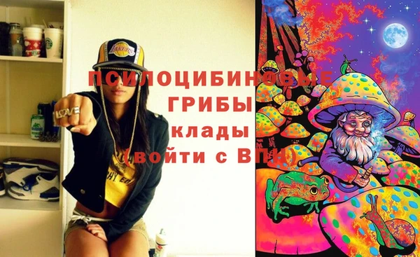 PSILOCYBIN Сосновка