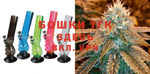 шишки Снежногорск