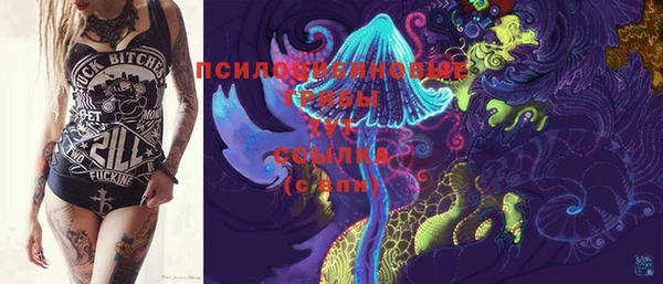 PSILOCYBIN Сосновка