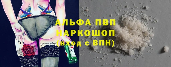 PSILOCYBIN Сосновка